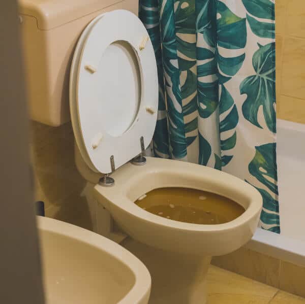 Blocked Toilet in a bathroom in house in Warrington